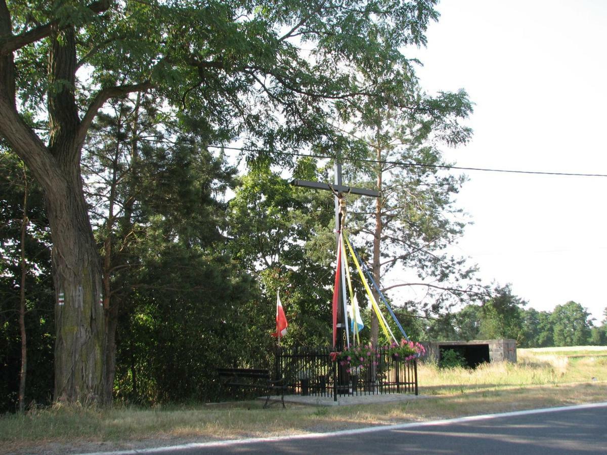 Strefa Kampinos Villa Brochow Exterior photo