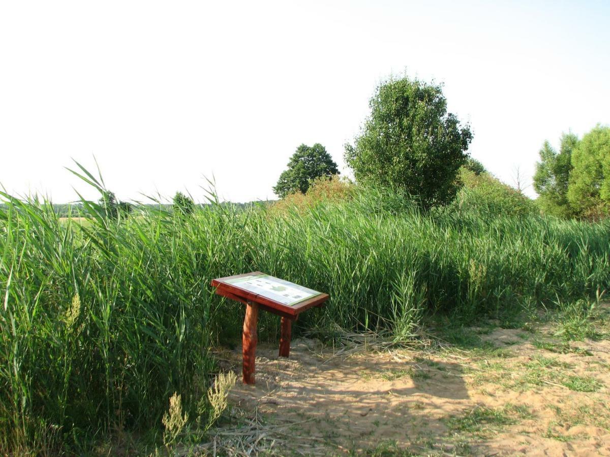 Strefa Kampinos Villa Brochow Exterior photo