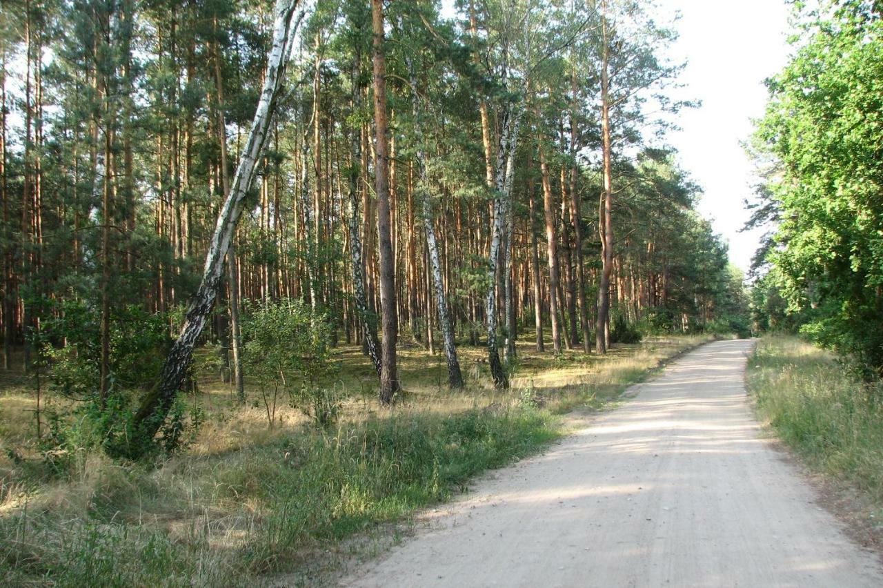 Strefa Kampinos Villa Brochow Exterior photo