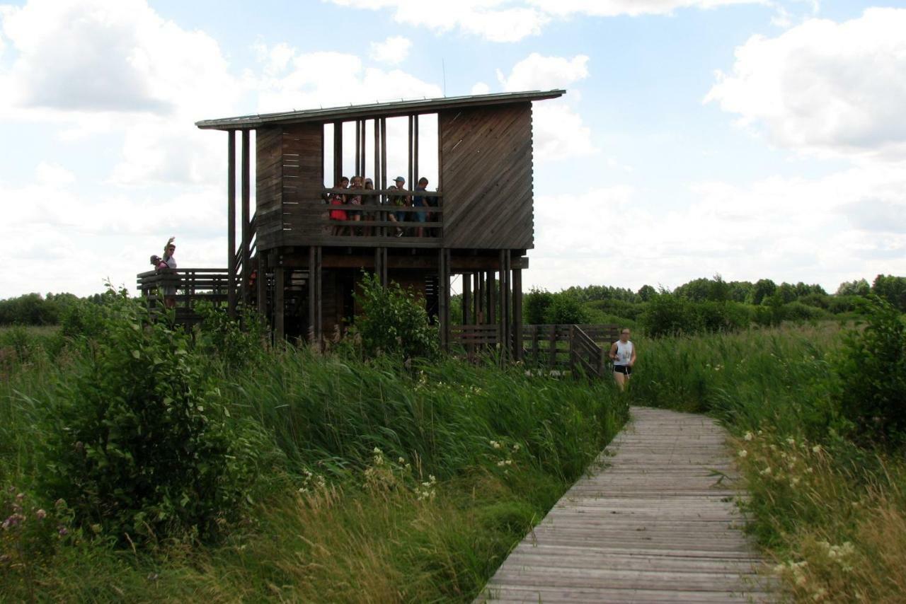 Strefa Kampinos Villa Brochow Exterior photo